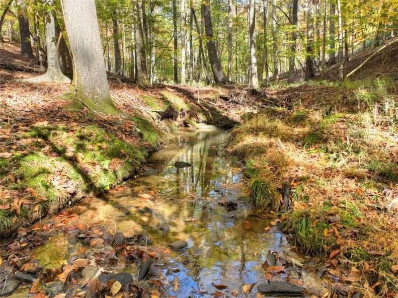 Natural landscape and outdoor views near  in Ellijay (Image 34).