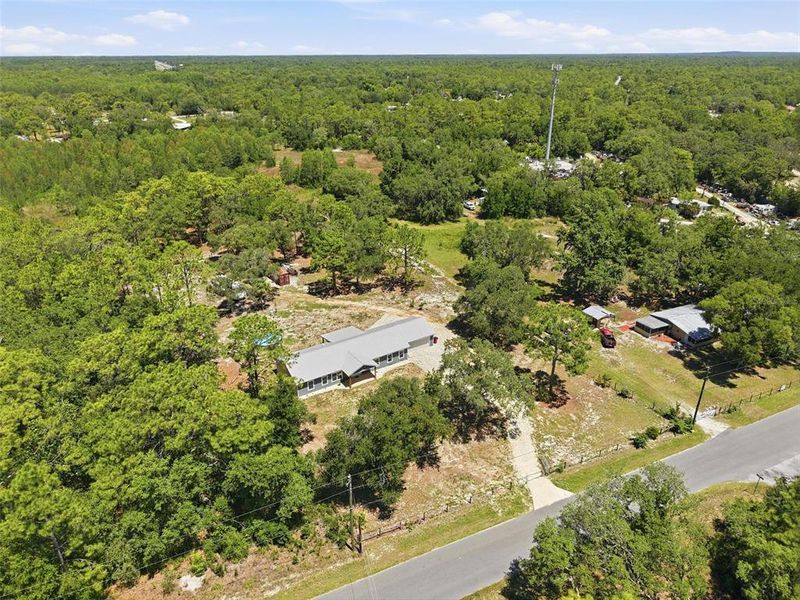 Natural landscape and outdoor views near in Homosassa (Image 55). Natural landscape and outdoor views near in Homosassa (Image 55).