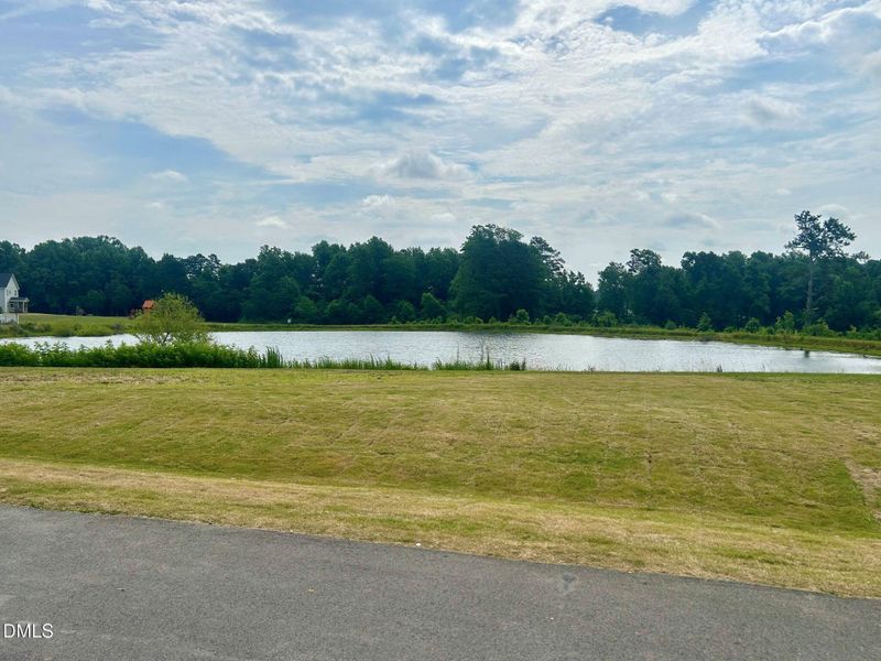 RVF Community Pond RVF Community Pond