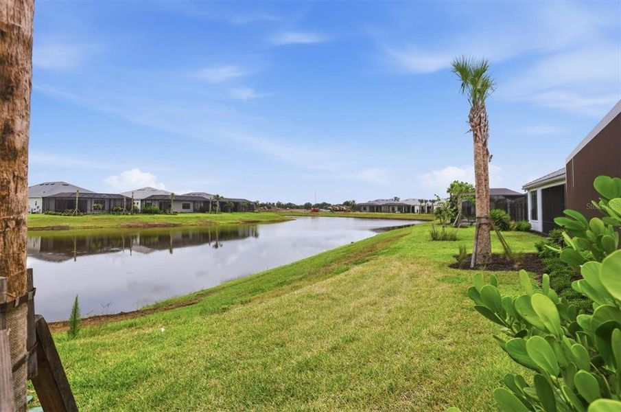 Natural landscape and outdoor views near Del Webb Catalina in Lakewood Ranch (Image 41).