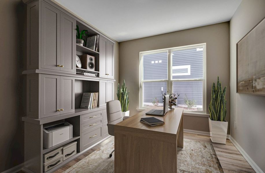 Savannah Study Savannah Study