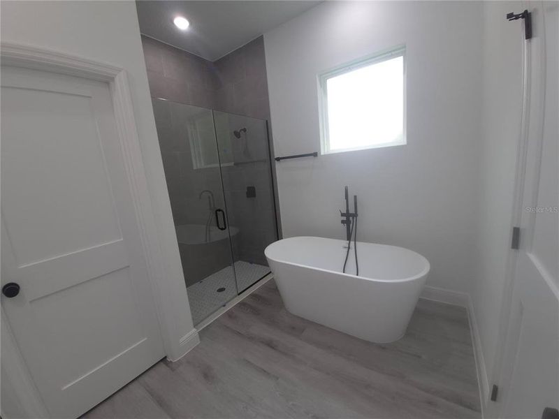 Furnished interior view inside a new home in , Ocala (Image 4).