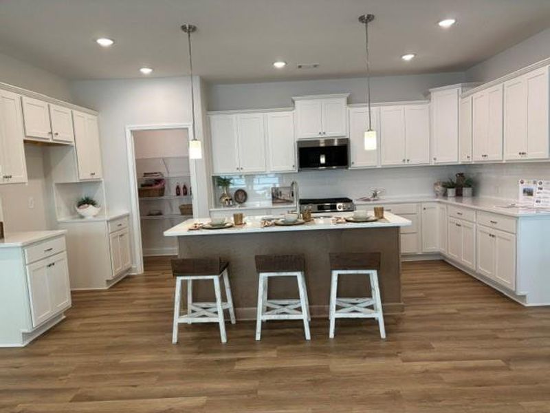 Furnished interior view inside a new home in Echols Farm, Hiram (Image 7).