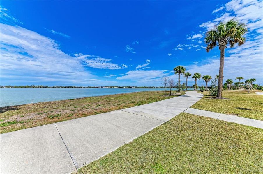 Natural landscape and outdoor views near  in Sarasota (Image 40).