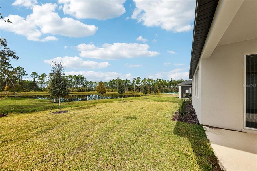 Exterior details and patio area of a home in Ridgehaven - Signature Series, Ormond Beach (Image 4).