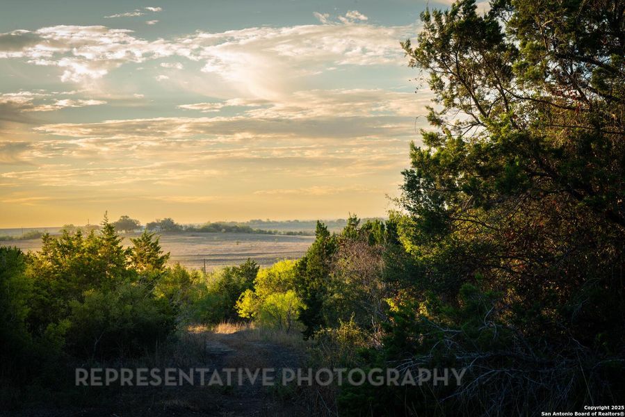 Image 21 of a home in Mayfair: 50ft. lots. Image 21 of a home in Mayfair: 50ft. lots.