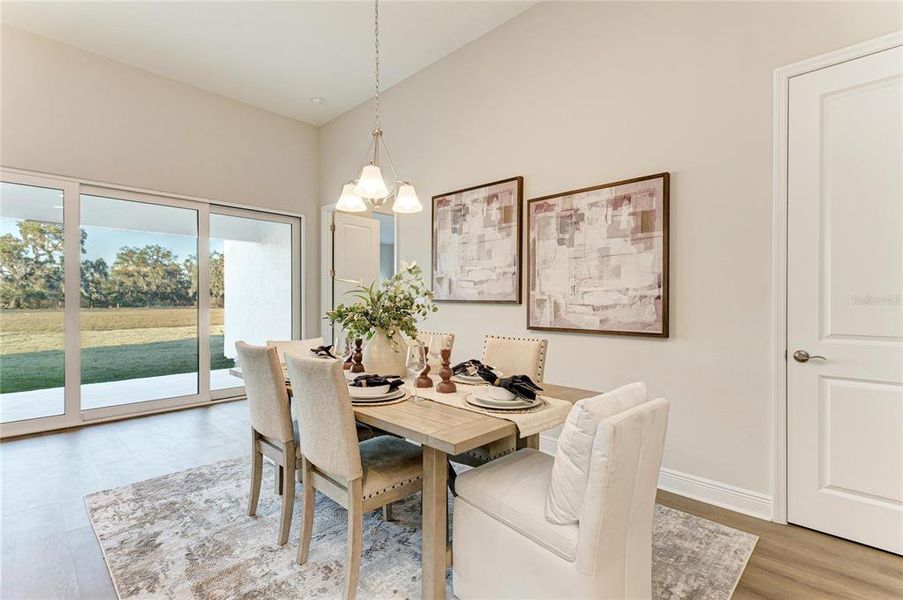 Furnished interior view inside a new home in Triple Creek, Riverview (Image 16). Furnished interior view inside a new home in Triple Creek, Riverview (Image 16).