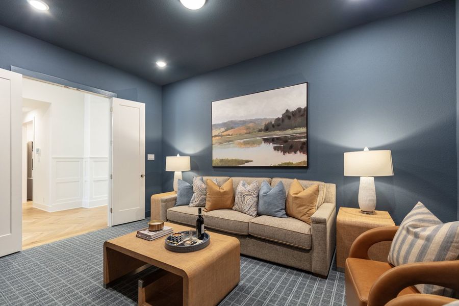 Representative Entertainment Room - some options shown Representative Entertainment Room - some options shown