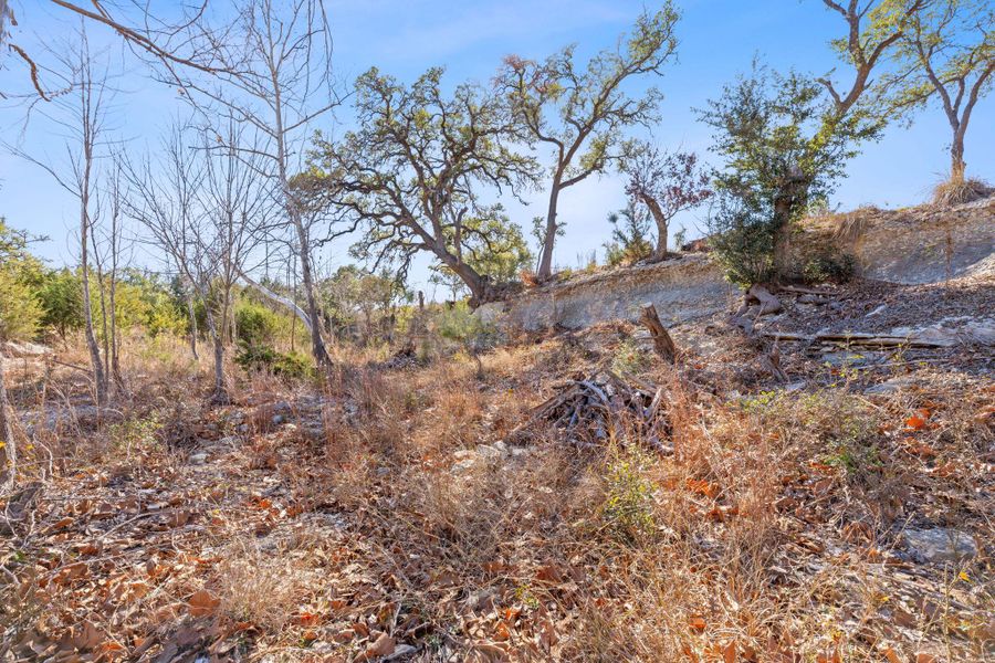 Standing at the bottom of the creek bed