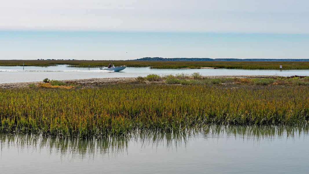 Natural landscape and outdoor views near Heron Pointe in Myrtle Beach (Image 7). Natural landscape and outdoor views near Heron Pointe in Myrtle Beach (Image 7).