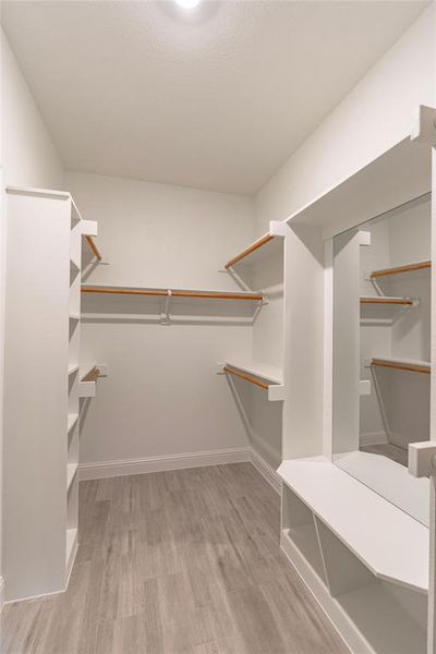 Walk in closet with light hardwood / wood-style flooring