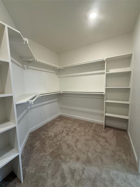 Spacious closet with carpet