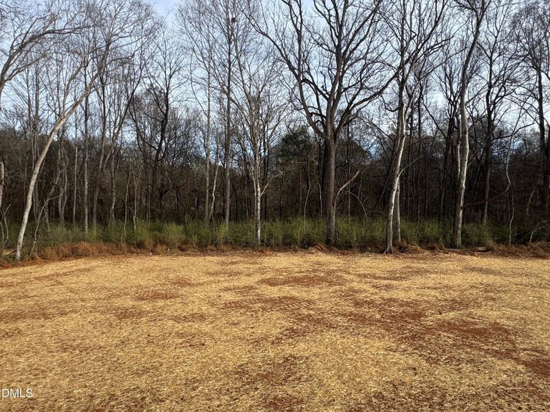 43 back yard 43 back yard