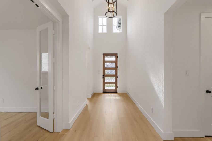 3324 Maidenhair - Entry 3324 Maidenhair - Entry