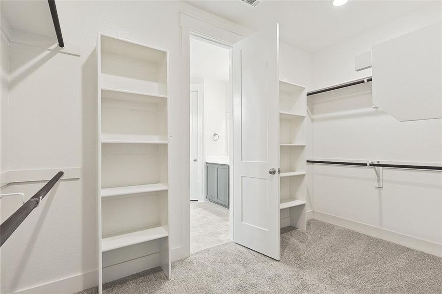 Spacious closet with light carpet