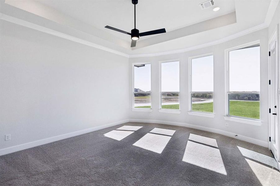 24-121Swan_024 24-121Swan_024