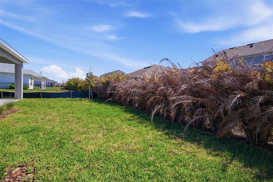 Natural landscape and outdoor views near Waterset in Apollo Beach (Image 49). Natural landscape and outdoor views near Waterset in Apollo Beach (Image 49).