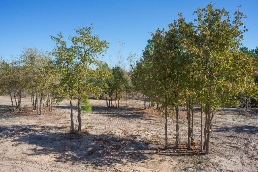 Back porch view Back porch view