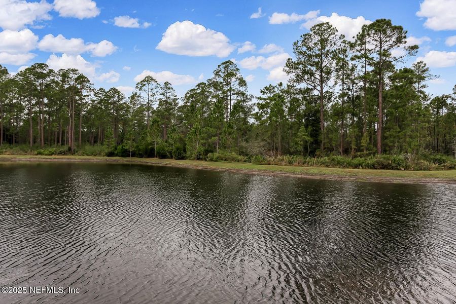 Natural landscape and outdoor views near Longleaf: Longleaf 60s in Jacksonville (Image 49).