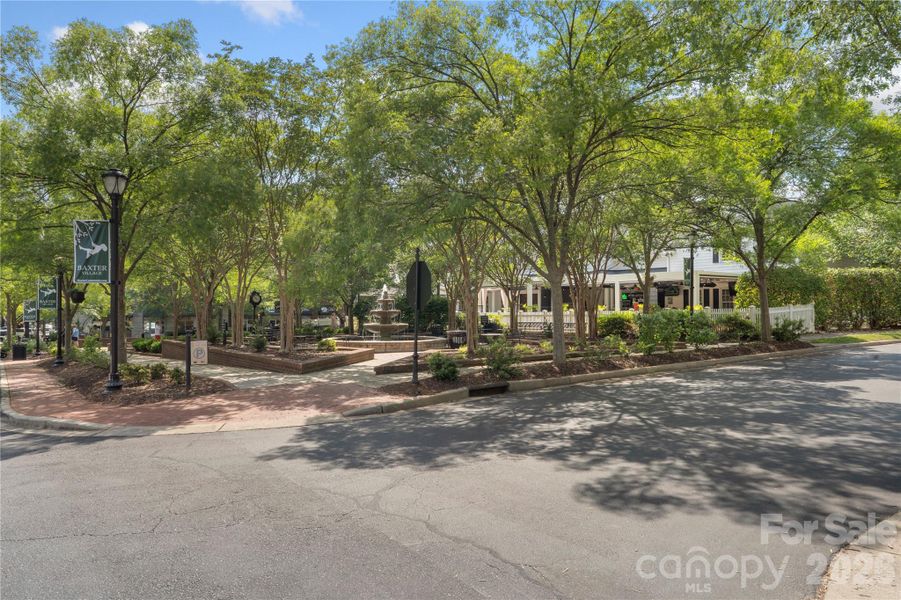 Natural landscape and outdoor views near  in Fort Mill (Image 36).