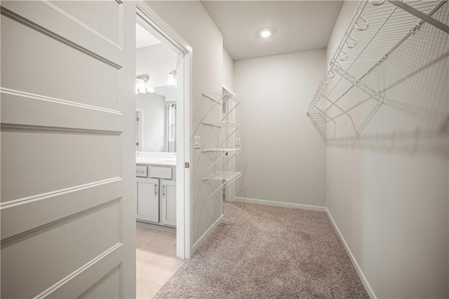 Spacious, unfurnished interior of a new home in Rosewood Lake Preserve, Hoschton (Image 29).