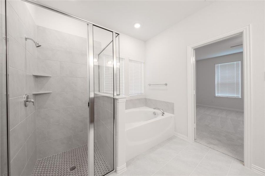 Primary Bathroom Primary Bathroom