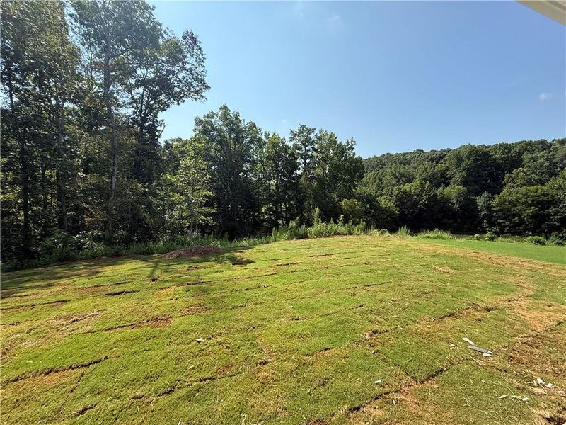 Natural landscape and outdoor views near Maple Village in Adairsville (Image 28). Natural landscape and outdoor views near Maple Village in Adairsville (Image 28).