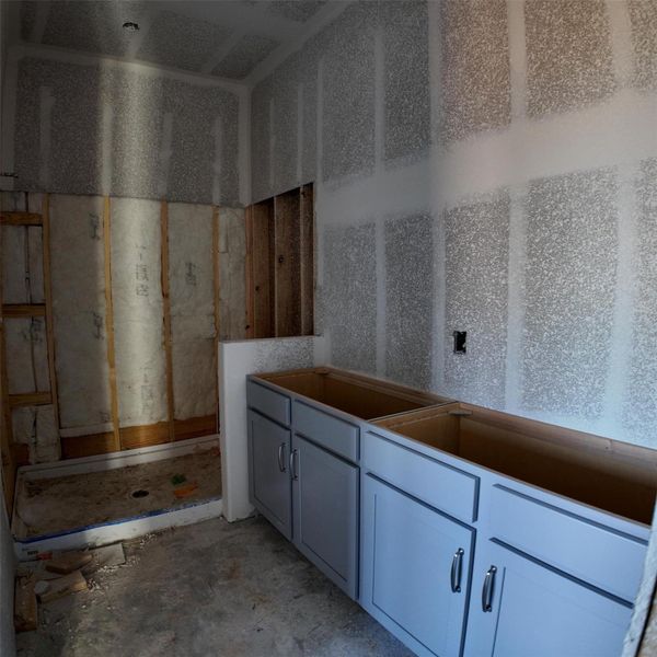 Construction Progress - primary bath