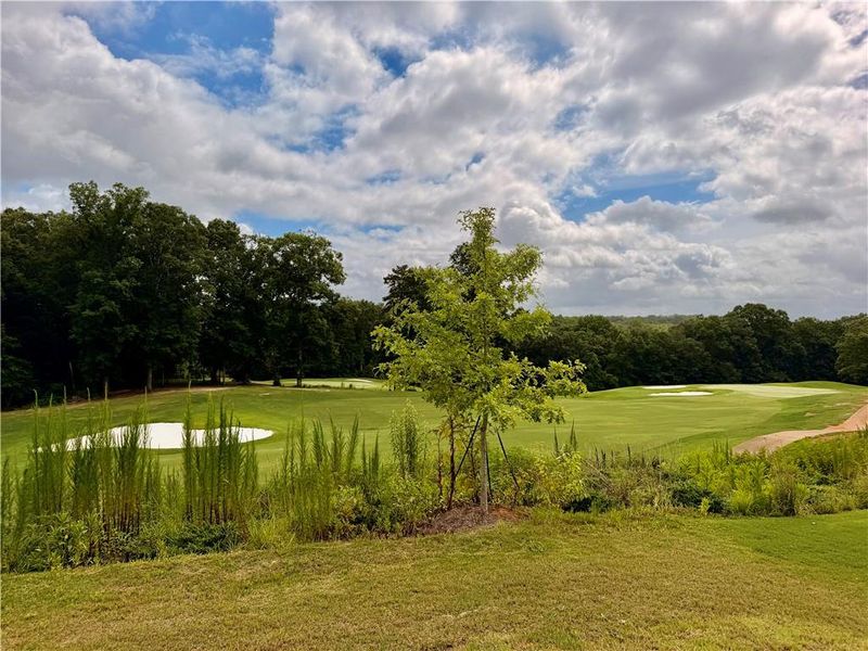 Natural landscape and outdoor views near Creekside in Dawsonville (Image 56).