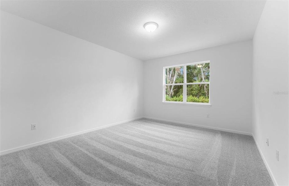 Model Representation