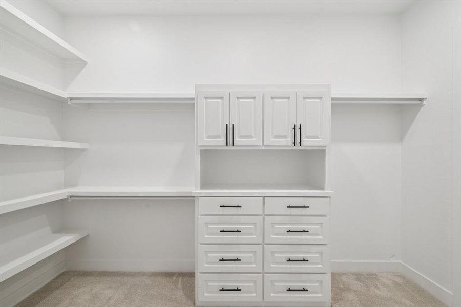 Walk in closet with light colored carpet