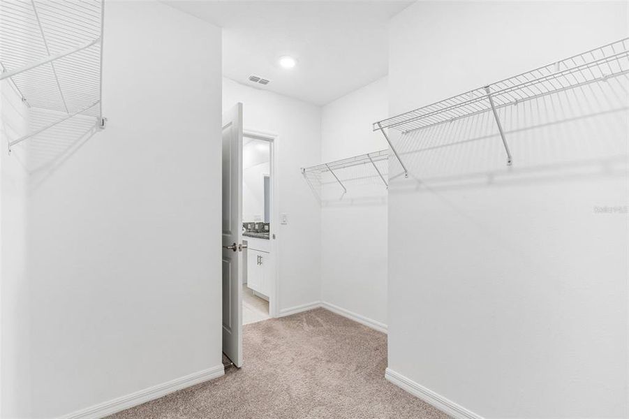Spacious, unfurnished interior of a new home in , Zephyrhills (Image 34).