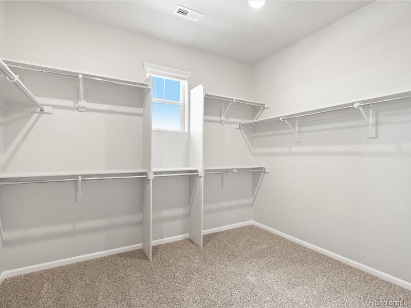 Image 36 of a home in Poudre Heights: The Alpine Collection.