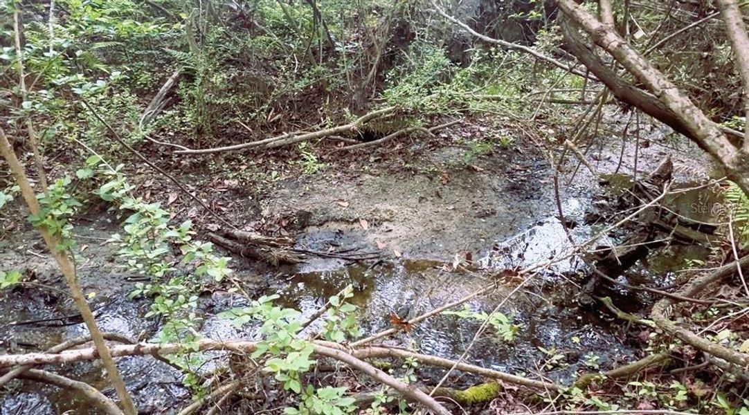 Natural landscape and outdoor views near  in White Springs (Image 57).