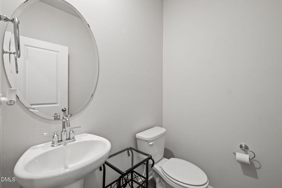 41-web-or-mls-P1120729