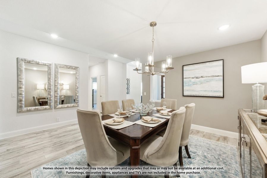 Formal dining room with dark wood table, six upholstered chairs, chandelier, and light hardwood floors Formal dining room with dark wood table, six upholstered chairs, chandelier, and light hardwood floors