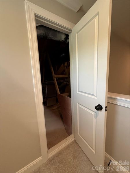 representation of walk in attic