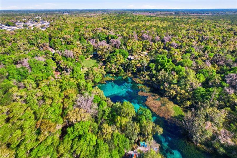 Natural landscape and outdoor views near  in Dunnellon (Image 35).
