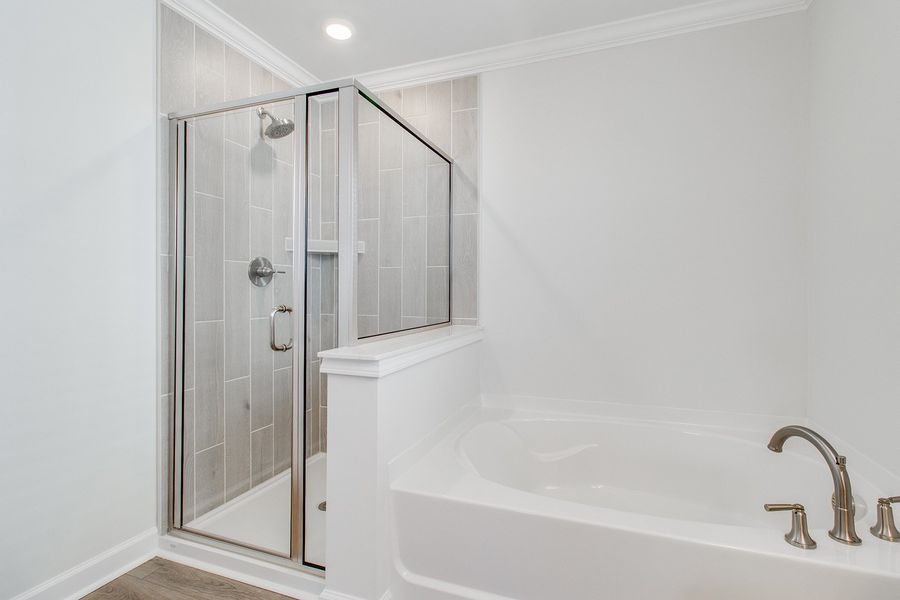 Furnished interior view inside a new home in Pebble Branch, Chapin (Image 12). Furnished interior view inside a new home in Pebble Branch, Chapin (Image 12).