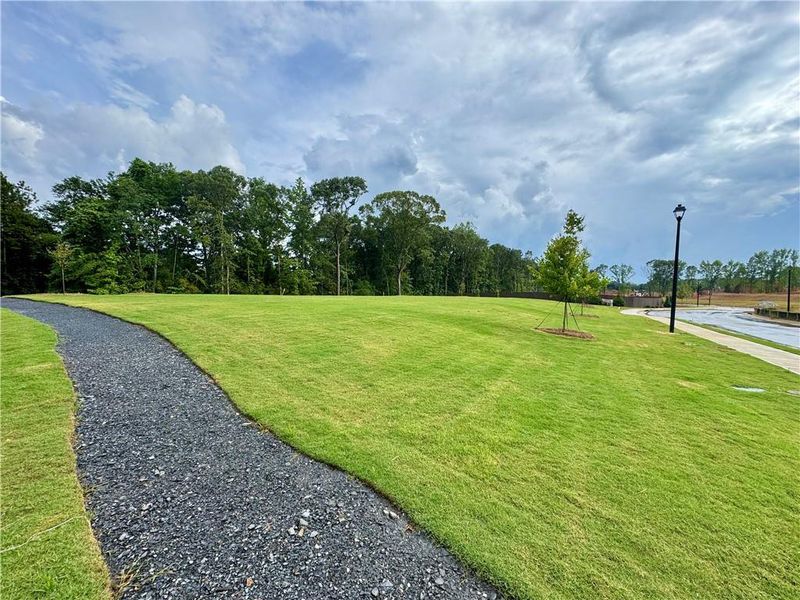 Natural landscape and outdoor views near Eastlyn Crossing - Single Family in Flowery Branch (Image 19). Natural landscape and outdoor views near Eastlyn Crossing - Single Family in Flowery Branch (Image 19).