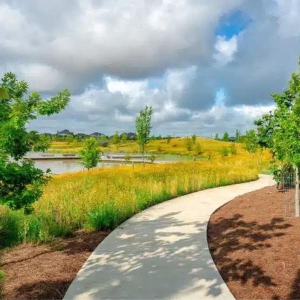 Lots of trails to enjoy. Lots of trails to enjoy.