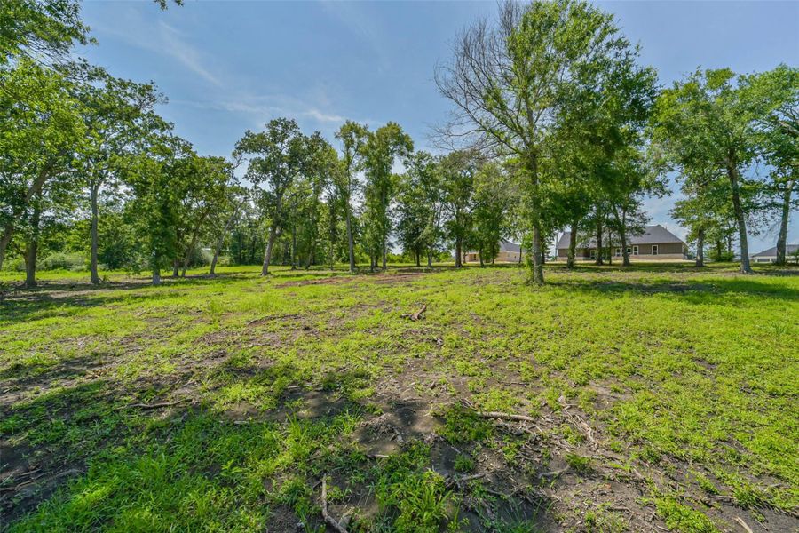 Natural landscape and outdoor views near  in Baytown (Image 46).