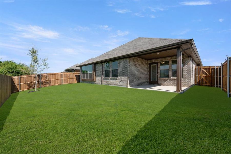 4537 Aralia- Back-1 4537 Aralia- Back-1