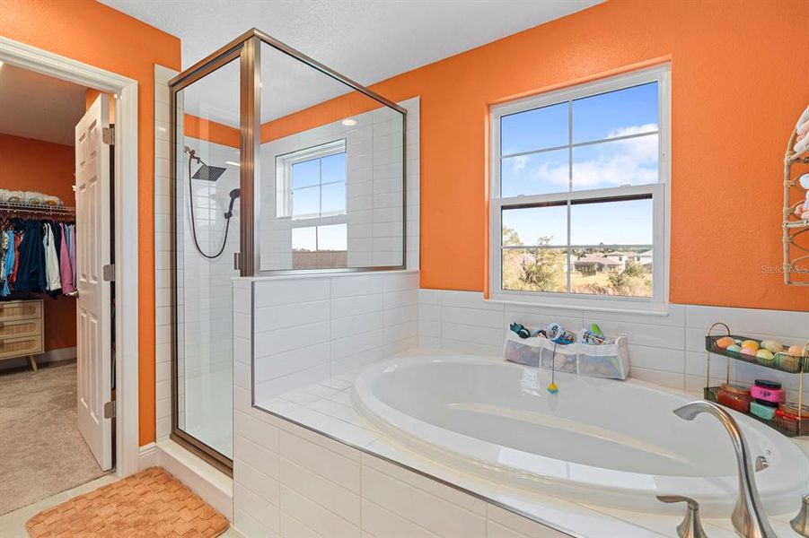 Furnished interior view inside a new home in Hawkstone, Lithia (Image 27).