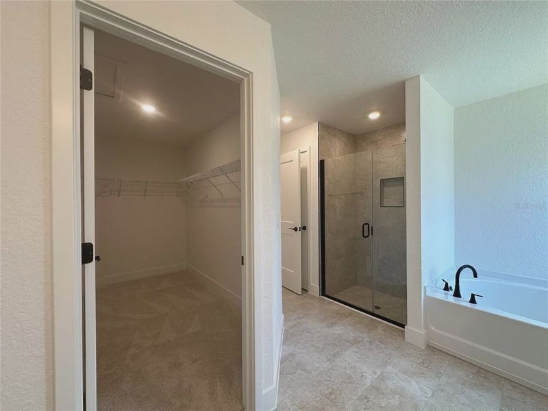 Spacious, unfurnished interior of a new home in Densan Park, Oxford (Image 15).