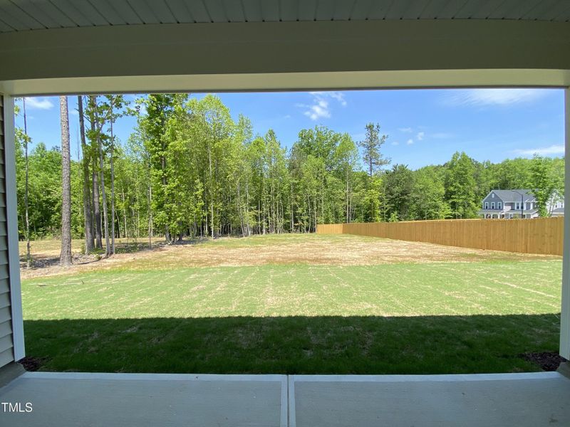 Covered Patio / Rear Yard