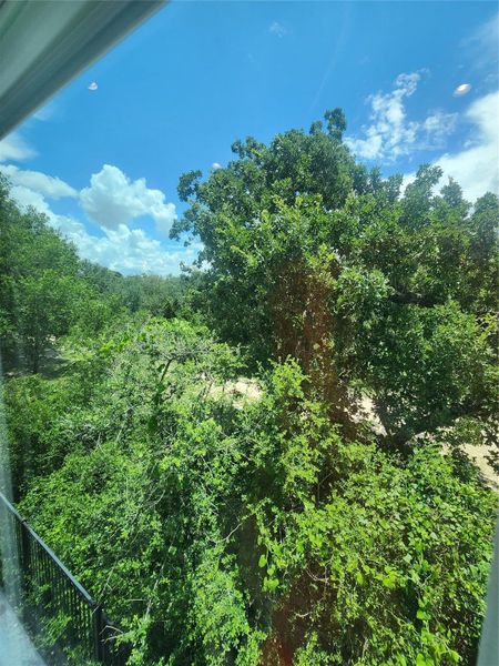 Natural landscape and outdoor views near in Houston (Image 32). Natural landscape and outdoor views near in Houston (Image 32).
