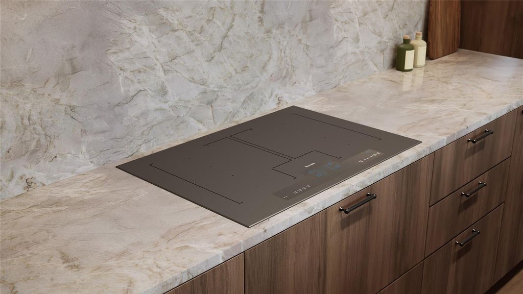 Thermador Induction Cooktop and quartzite countertop. Trailhead Palette Thermador Induction Cooktop and quartzite countertop. Trailhead Palette