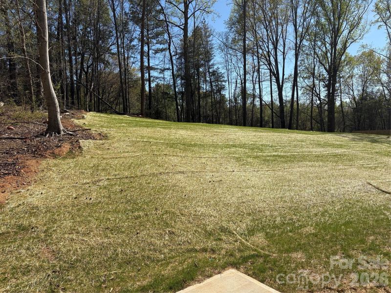 Natural landscape and outdoor views near  in Kannapolis (Image 17).