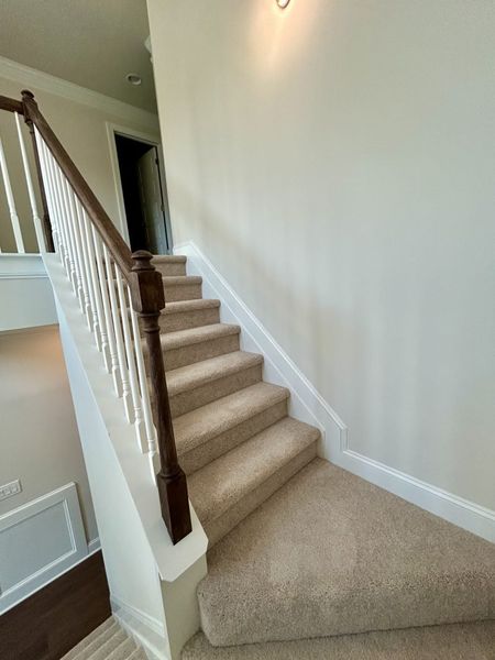 Spacious, unfurnished interior of a new home in Trellises, High Point (Image 23).